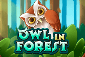 Owl In Forest game thumbnail